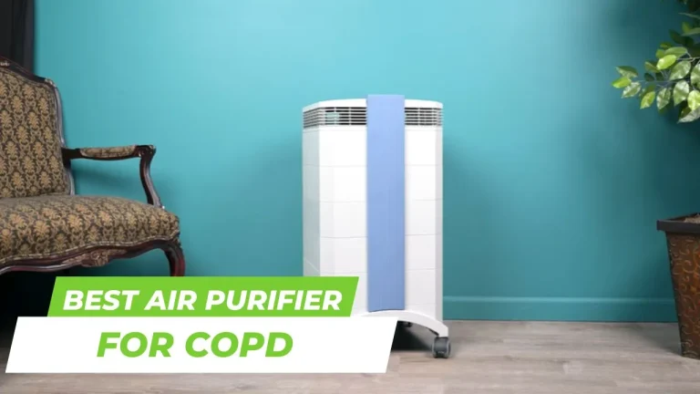 6 Best Air Purifier for COPD Patients in 2024