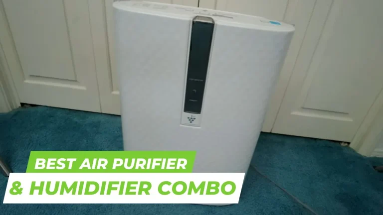 6 Best Air Purifier and Humidifier Combo in 2024